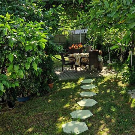 House Of Greenery Koetaisi Buitenkant foto