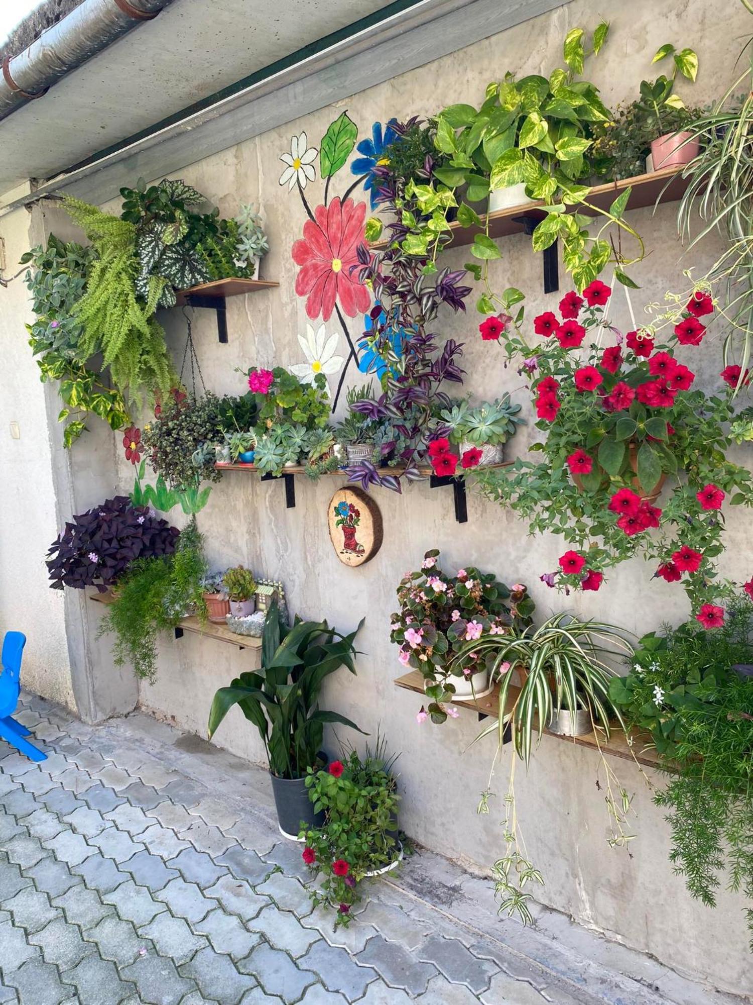 House Of Greenery Koetaisi Buitenkant foto