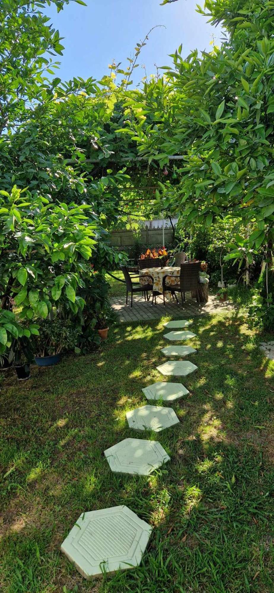 House Of Greenery Koetaisi Buitenkant foto